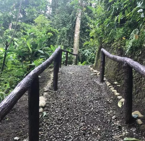 ホテル Arenal Roca Suites