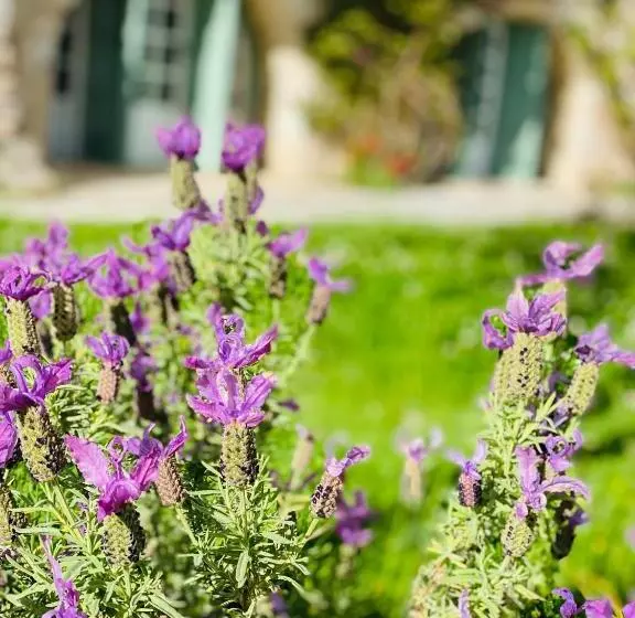 Aamiaismajoitus (B&B) L'effrontée