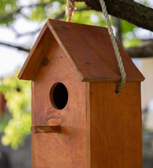 تختخواب و صبحانه Noravank L And L