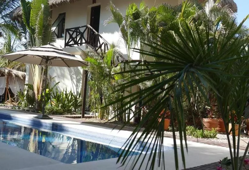 ホテル Casa Kuaa