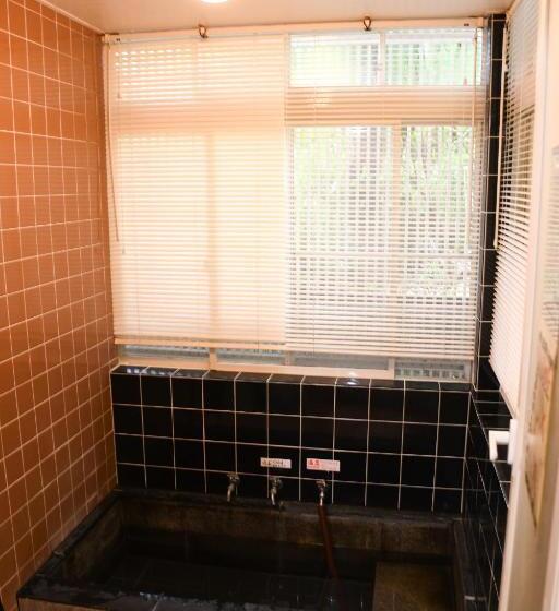 פנסיון Hakone Leon