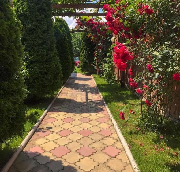 Пансион Vila Cochilia Costinesti Ultracentral 3 Stele