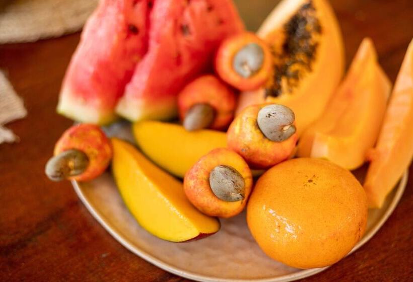 פנסיון Vilarejo Prea