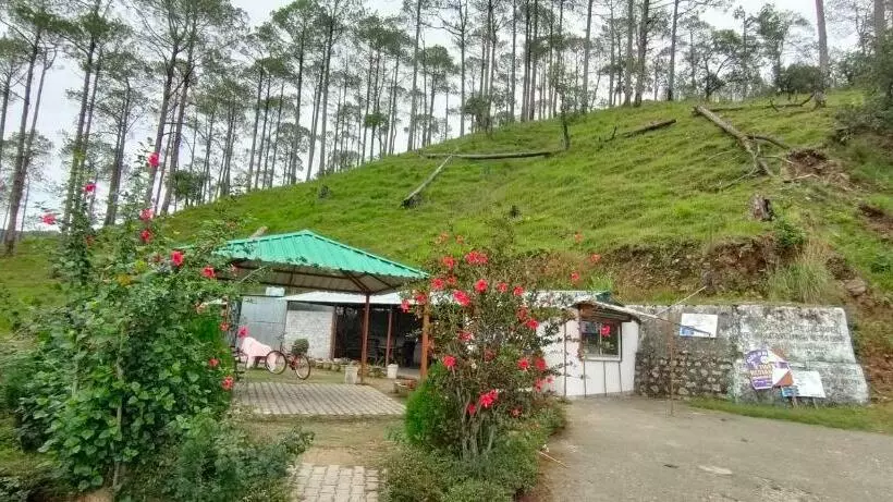 リゾートホテル The Green Pine Cottage