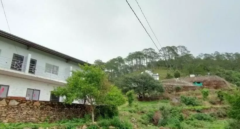 リゾートホテル The Green Pine Cottage