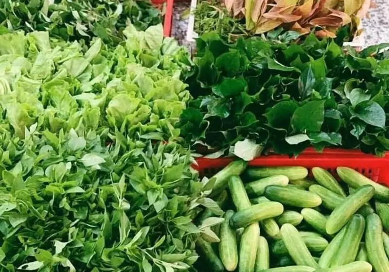 Nocleg ze śniadaniem Little Saigon