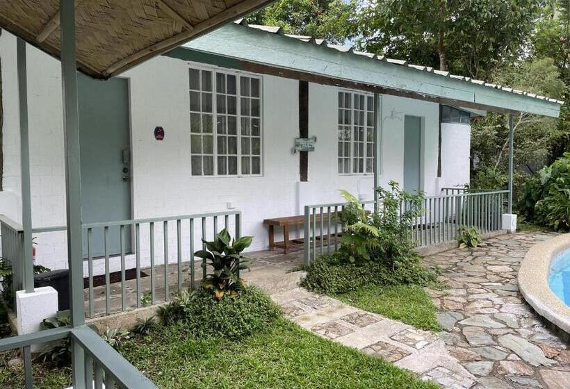 Bed and Breakfast Mayas Nest