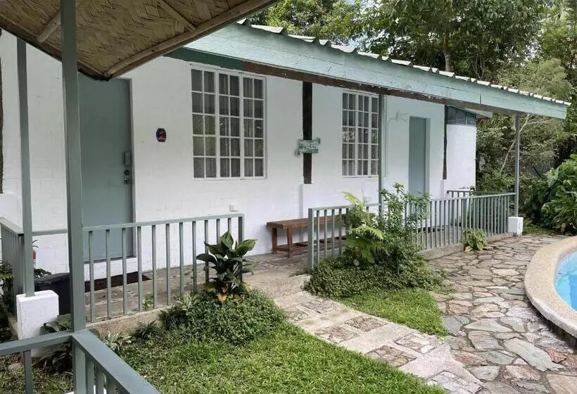 ベッドアンドブレックファースト Mayas Nest