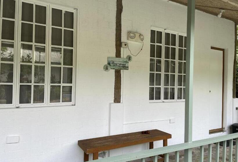 Bed and Breakfast Mayas Nest