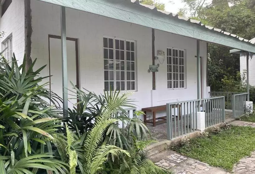 ベッドアンドブレックファースト Mayas Nest