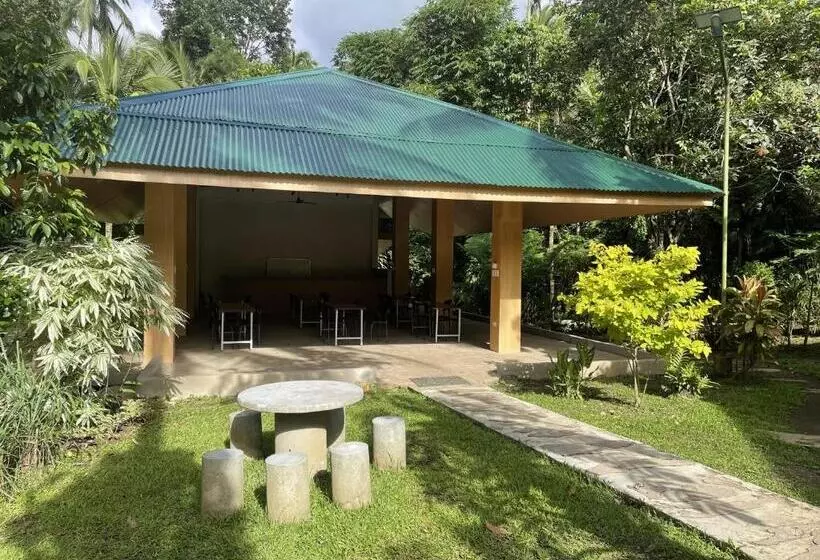 ベッドアンドブレックファースト Mayas Nest