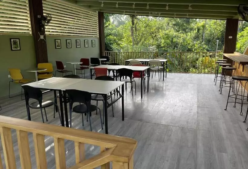 ベッドアンドブレックファースト Mayas Nest