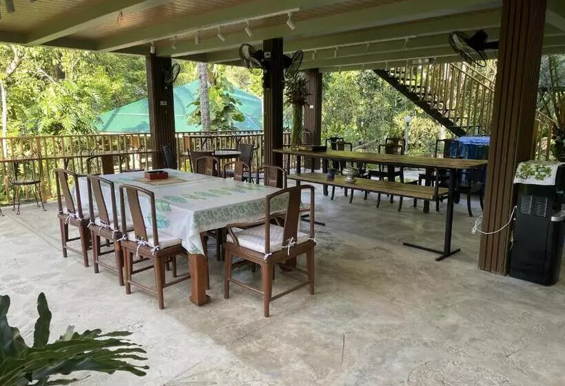 ベッドアンドブレックファースト Mayas Nest