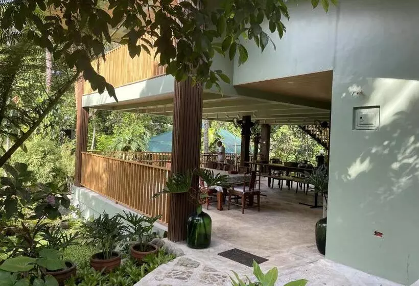 ベッドアンドブレックファースト Mayas Nest