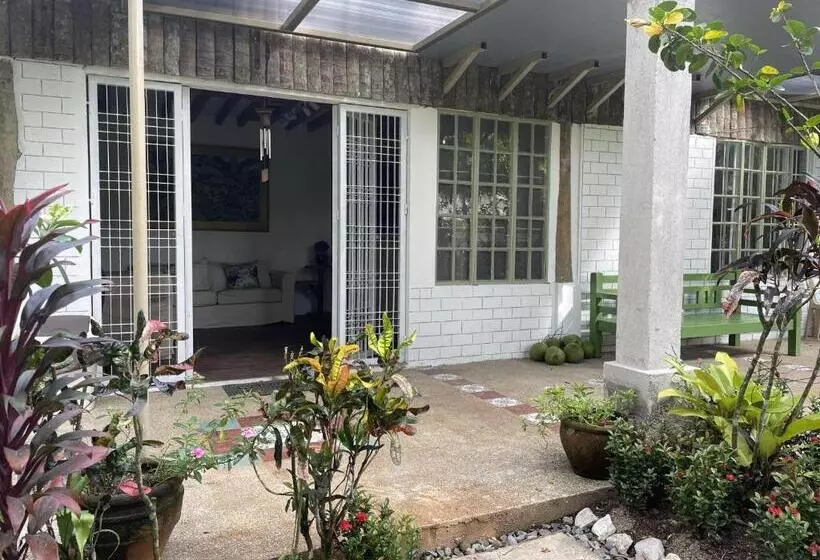 ベッドアンドブレックファースト Mayas Nest