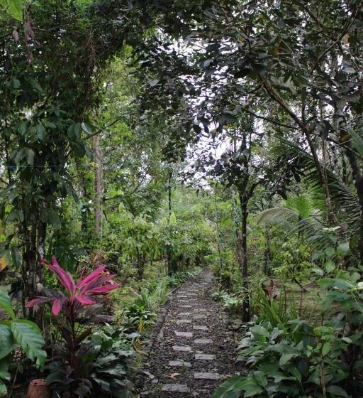 Bed and Breakfast Mayas Nest