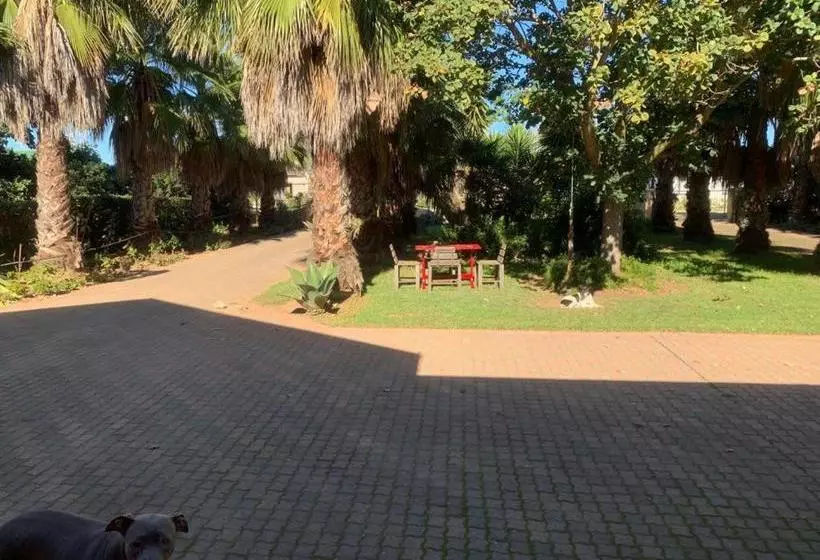 Aamiaismajoitus (B&B) Meerkatjie