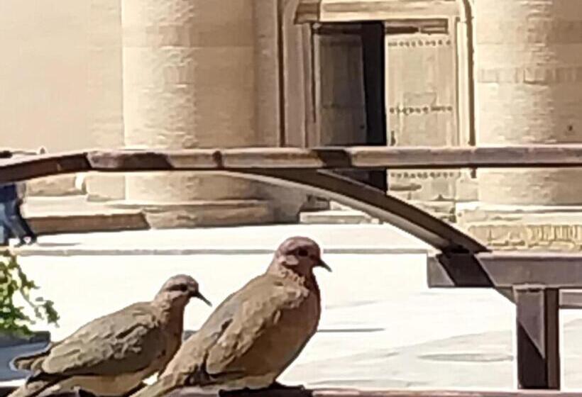 ペンション Nazira Boutique Hotel & Terrace