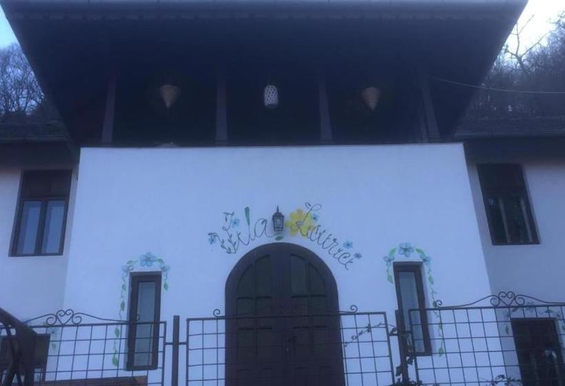 پانسیون Vila Licurici