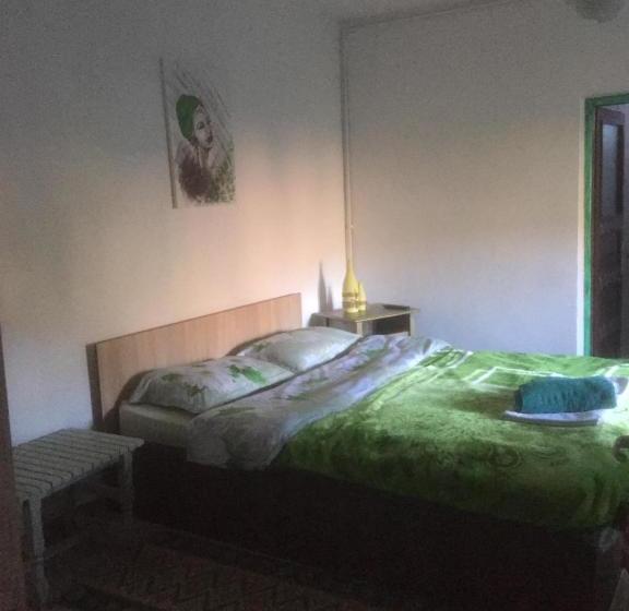 پانسیون Vila Licurici