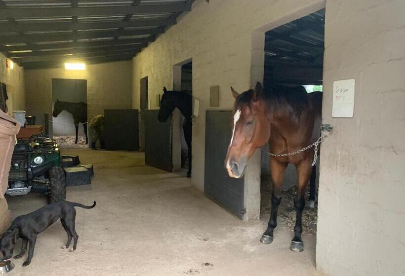 민박 Cavalo Guesthouse & Equestrian Estate