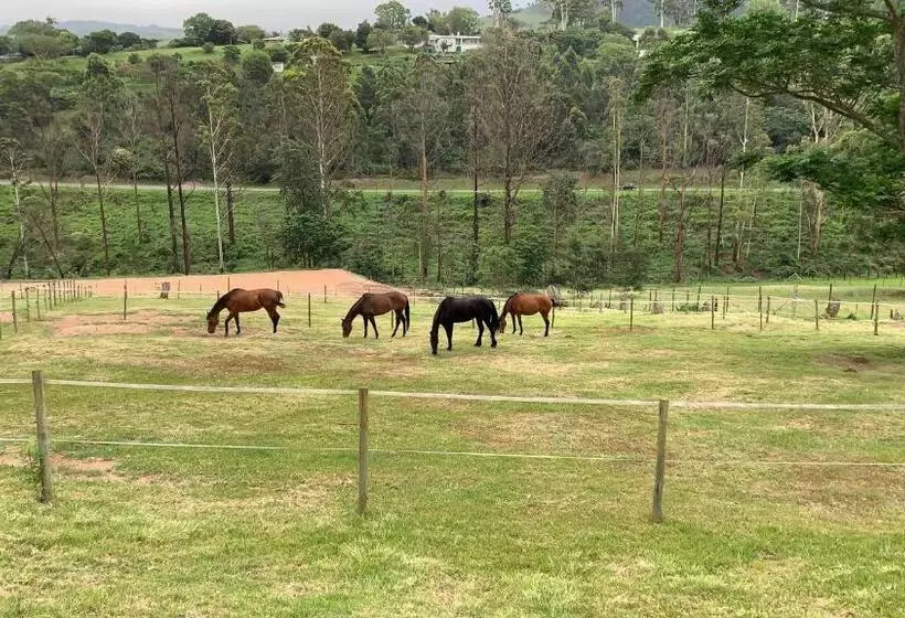 Aamiaismajoitus (B&B) Cavalo Guesthouse & Equestrian Estate