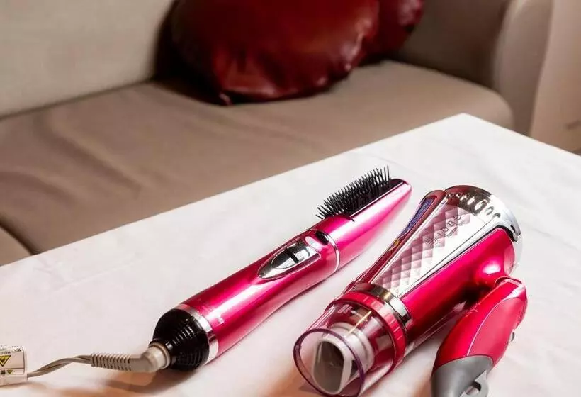 ホテル マイン 岐阜