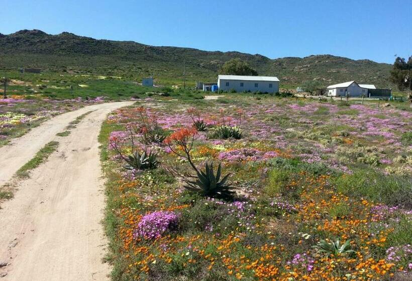 ホテル Middelkraal Accommodation