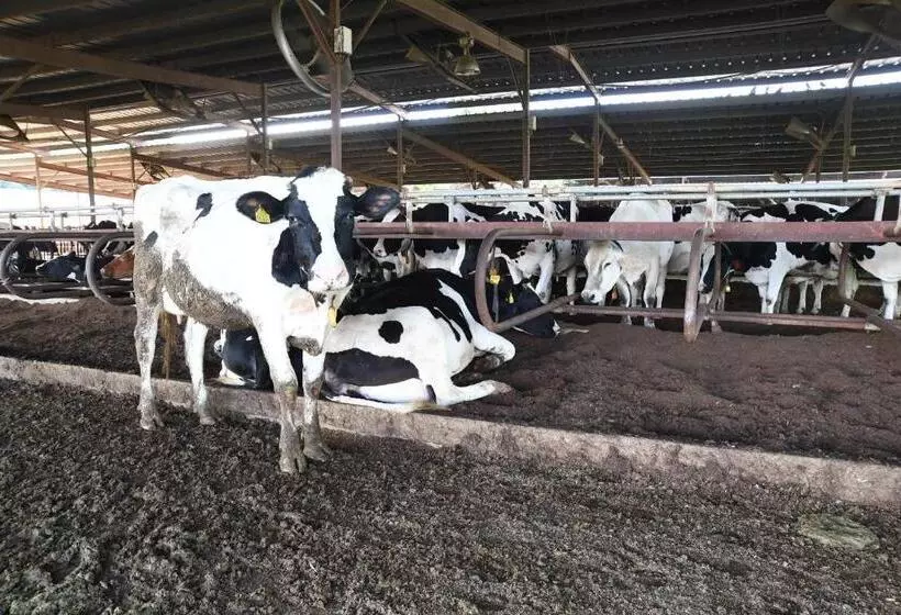 Majatalo ファミリー不向き!!素泊まり一棟貸切りではない個室の静かな方限定無料wifi