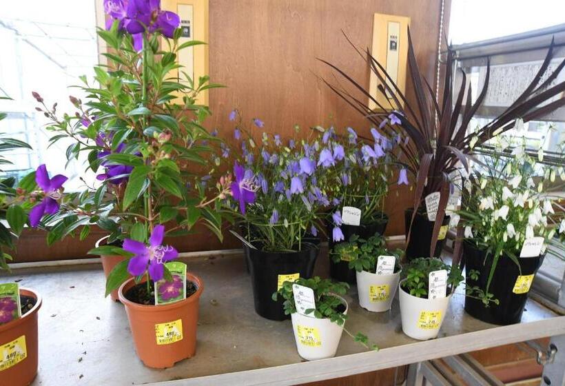 פנסיון ファミリー不向き!!素泊まり一棟貸切りではない個室の静かな方限定無料wifi