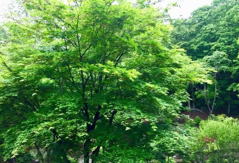Majatalo Foresta Karuizawa 1