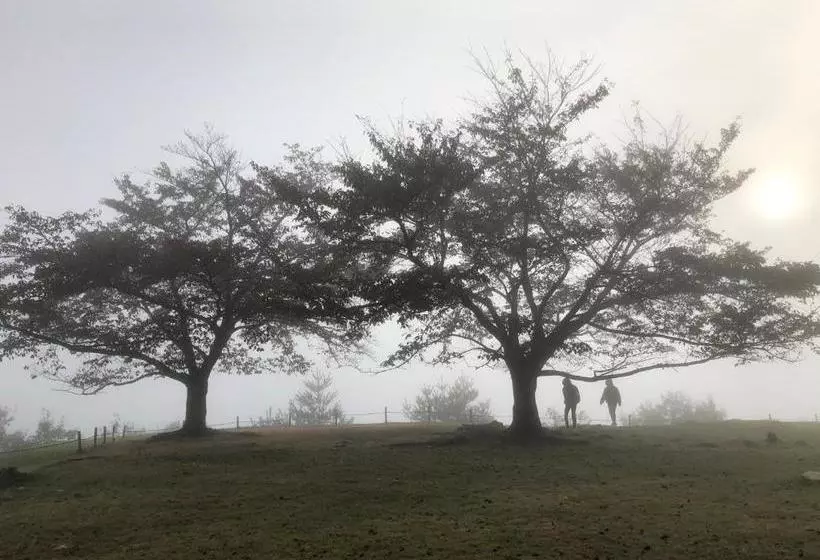 Majatalo Fukunae House   Hostel