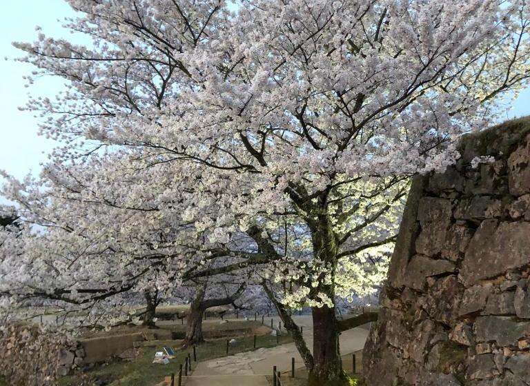 פנסיון Fukunae House Hostel