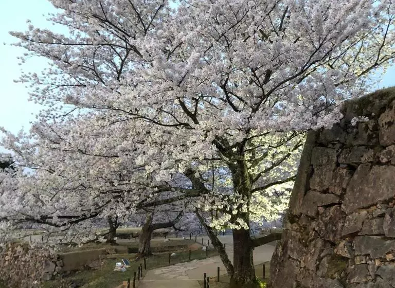 Majatalo Fukunae House   Hostel