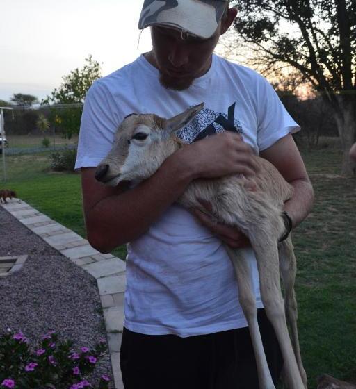 פנסיון Ithabiseng Guest Farm