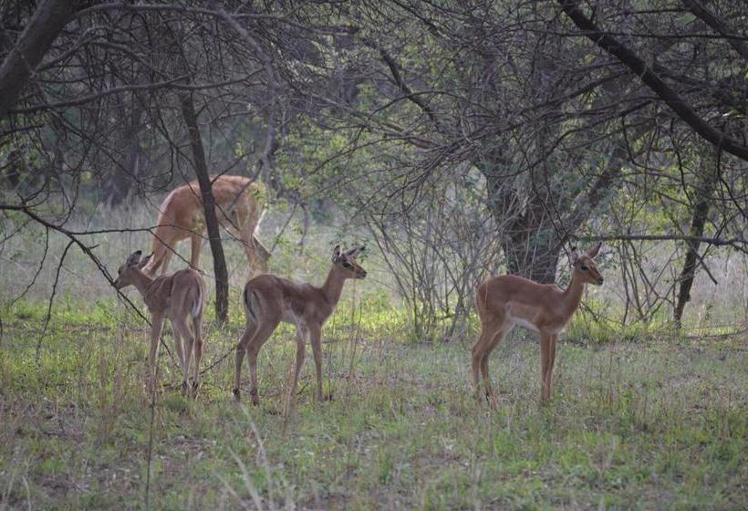 פנסיון Ithabiseng Guest Farm