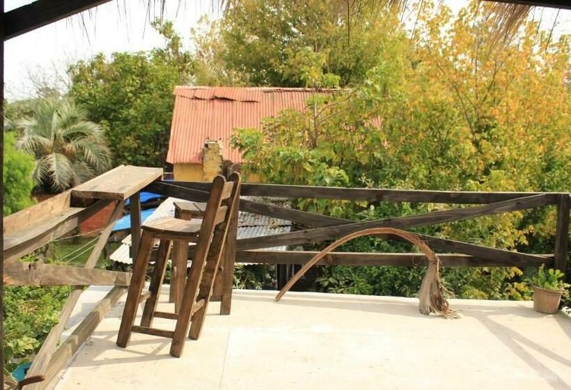 ペンション Mama Killa Neptunia Eco Hostel