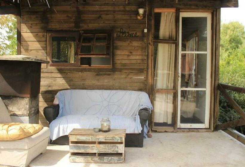 ペンション Mama Killa Neptunia Eco Hostel