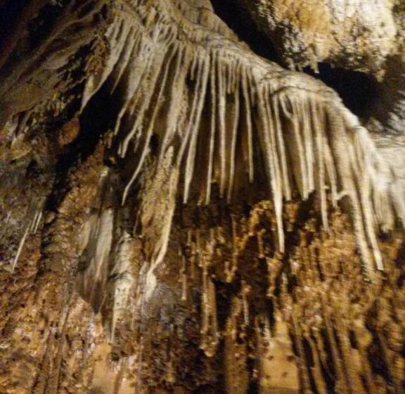 פנסיון Martonyi Erdőszéli Vendégház