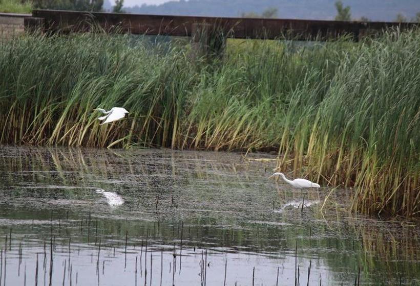 פנסיון Martonyi Erdőszéli Vendégház