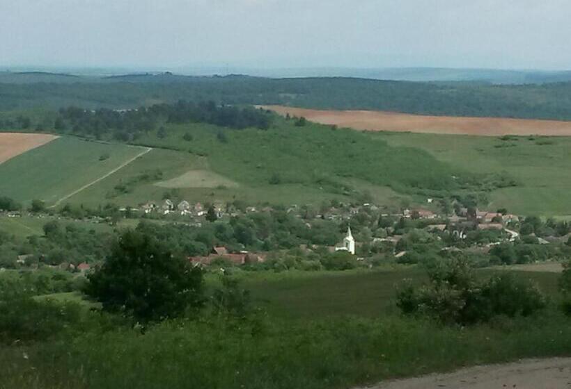 פנסיון Martonyi Erdőszéli Vendégház