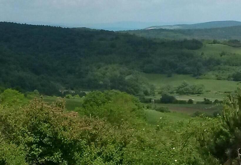 פנסיון Martonyi Erdőszéli Vendégház