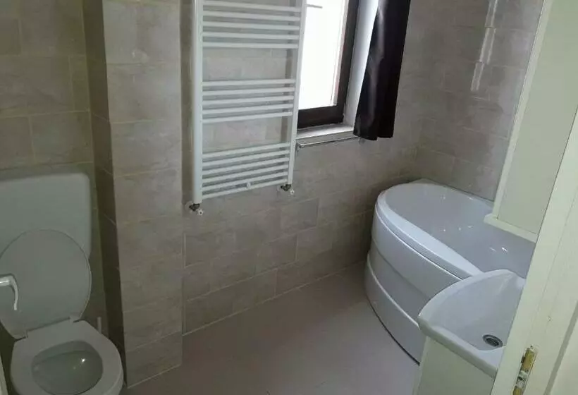 Pensiunea Casa Alba