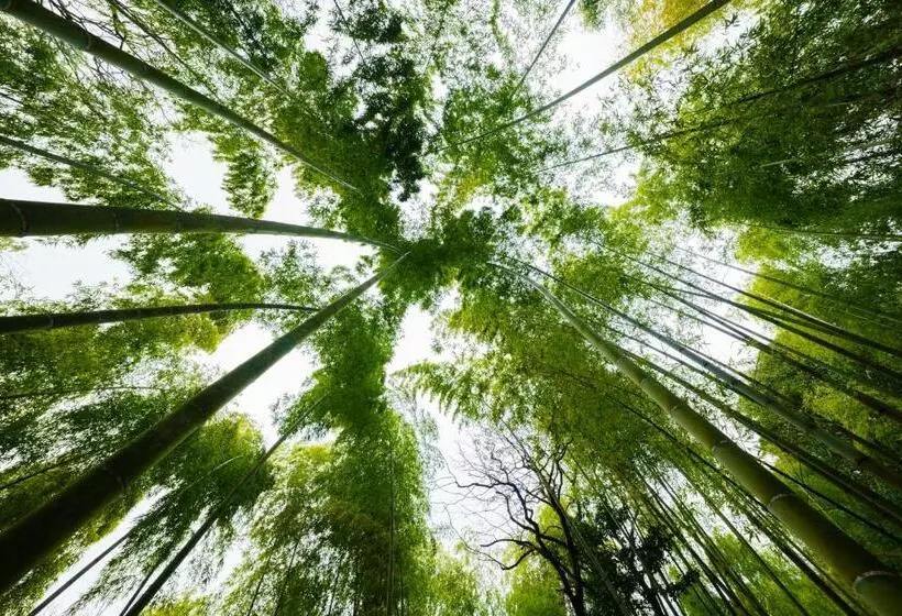 Ryokan Ryoan Fukinotou