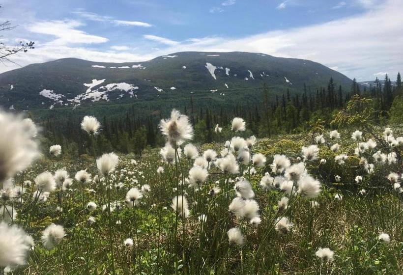 Общежитие Fjällhalsen Cottages