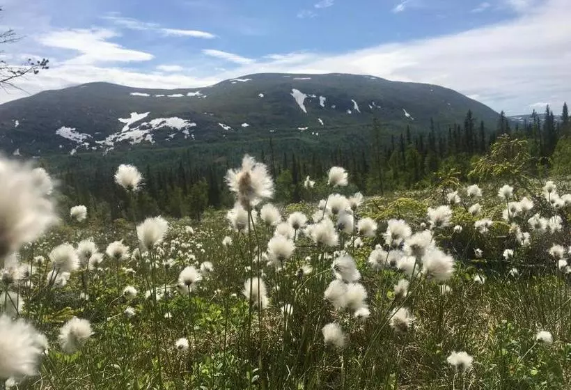 Retkeilymaja Fjällhalsen Cottages