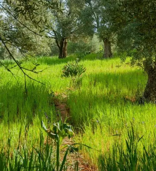 Aamiaismajoitus (B&B) Gîte Raid Oriental