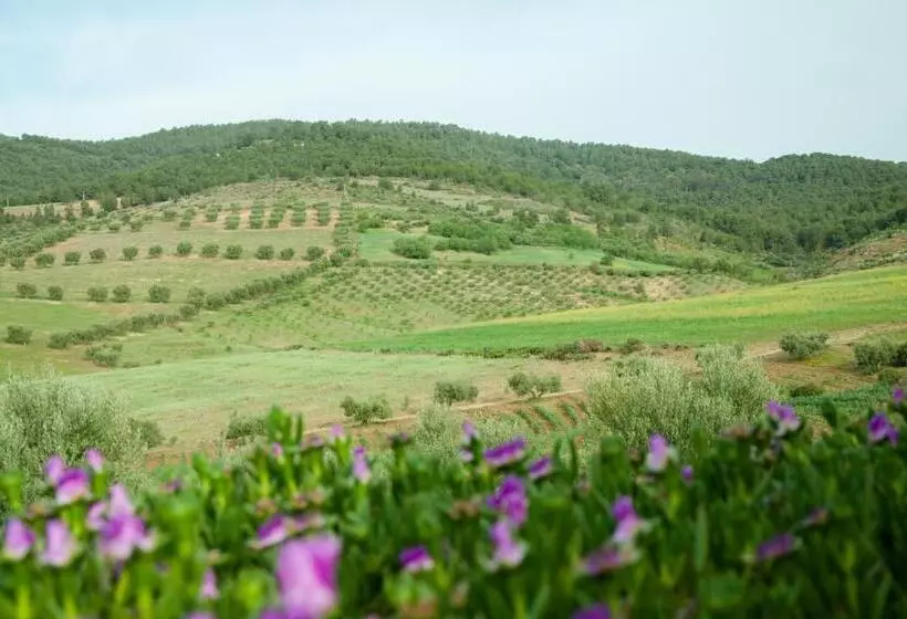 Aamiaismajoitus (B&B) Gîte Raid Oriental