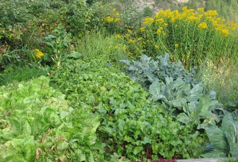 Отель Agriturismo Lo Ratelé