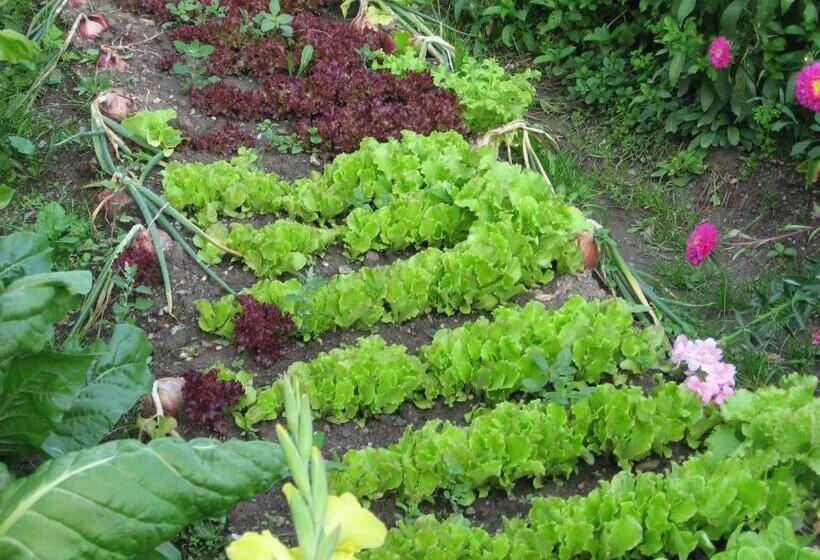 Отель Agriturismo Lo Ratelé